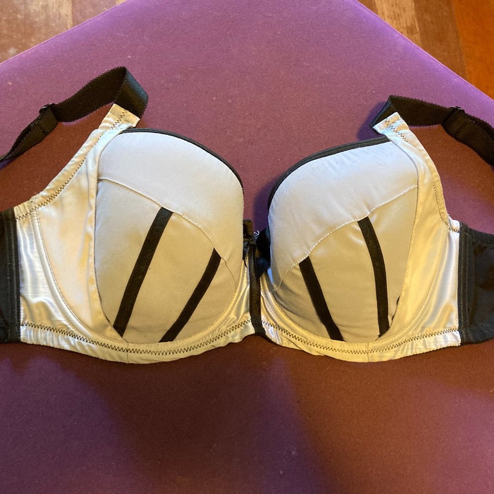 Parfait "Charlotte" Bra (28J), Blue